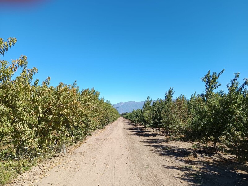 Predio Rancagua
